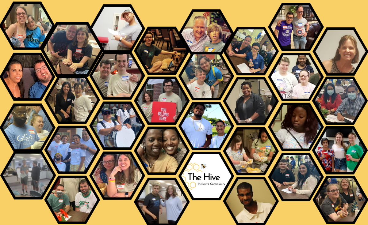 Honeycomb image of Hive member photos